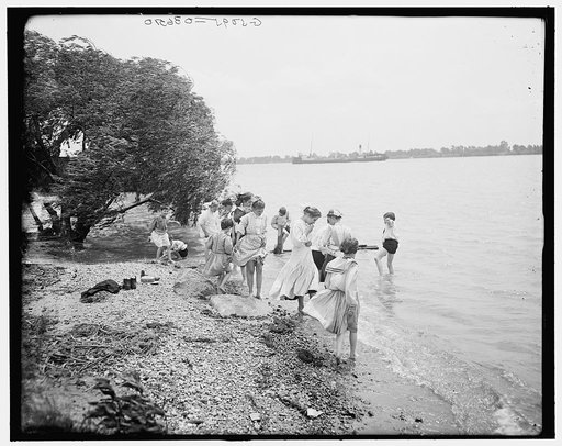 Waders at Belle Isle Park, Detroit, Mich.