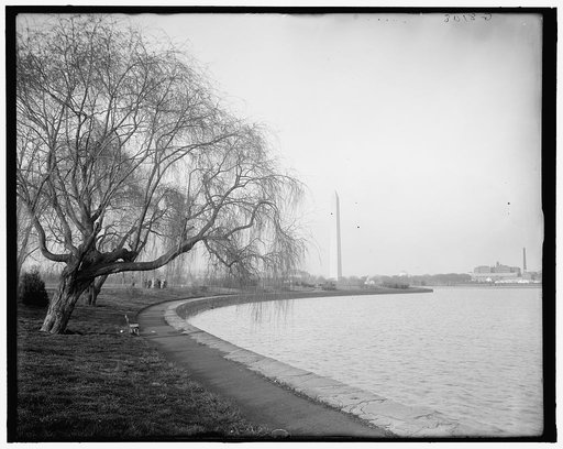Washington Monument from the lake, Potomac Park, Washington, D.C.