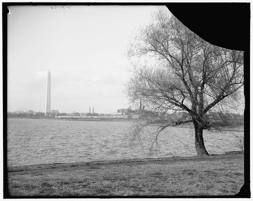 The Monument from Potomac Park, Washington, D.C.
