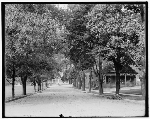 Buffalo Avenue and Hotel Kaltenbach, Niagara Falls, N.Y.