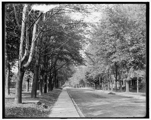 Buffalo Avenue, Niagara Falls, N.Y.