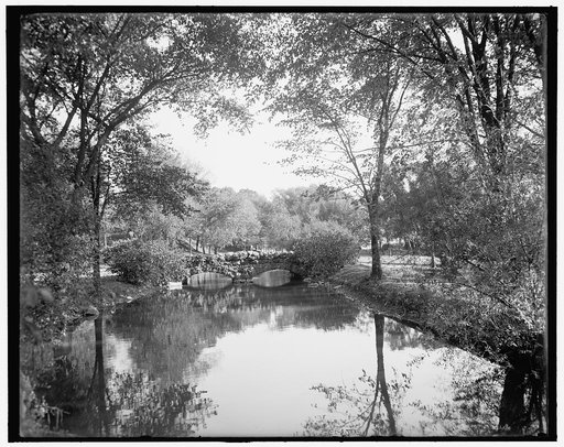 Canal, Willow Island, Niagara Falls, N.Y.