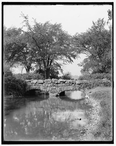 Willow Island bridge, Niagara Falls, N.Y.