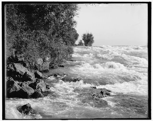 Rapids at Willow Island, Niagara Falls, N.Y.