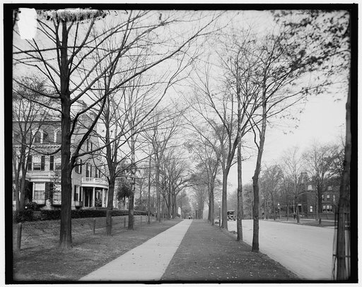 Delaware Avenue, Buffalo, N.Y.