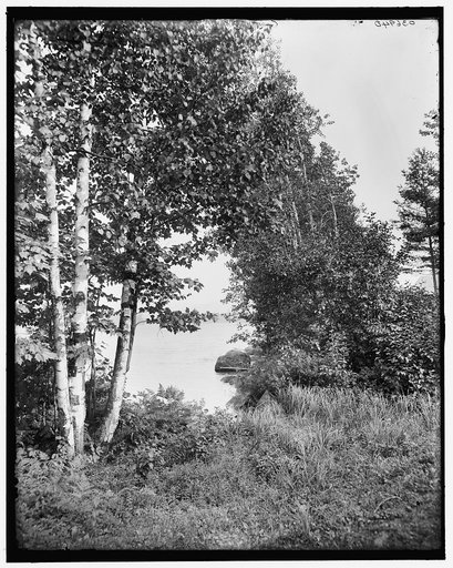 A Glimpse of Raquette Lake, Adirondacks, N.Y.