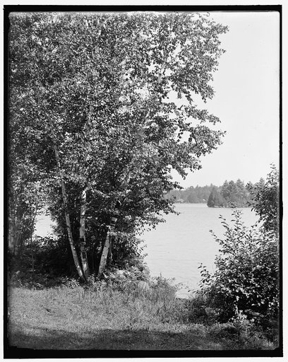 A Glimpse of Raquette Lake, Adirondacks, N.Y.