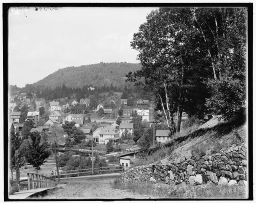 Saranac Lake, Mount Pisgah, Adirondacks, N.Y.