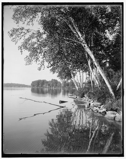 Upper Saranac Lake, along the shore, Adirondacks, N.Y.