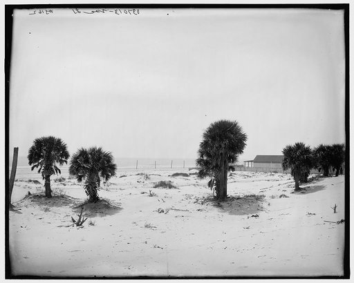 Isle of Palms near Charleston, South Carolina