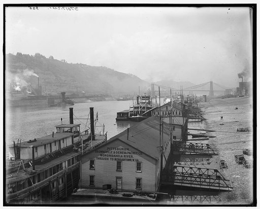 The Monongahela wharves, Pittsburg, Penn.