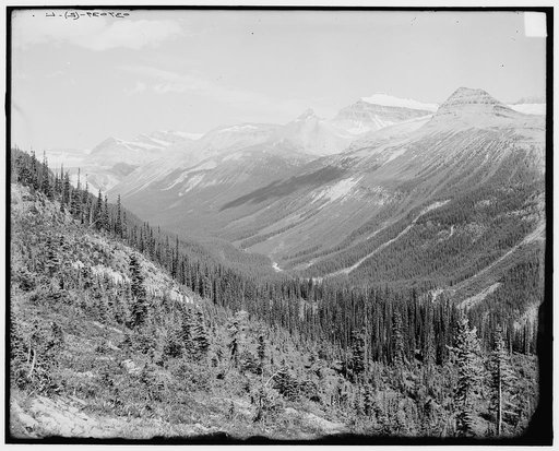 Yoho Valley from upper trail, Yoho Park Reserve, British Columbia, Canada