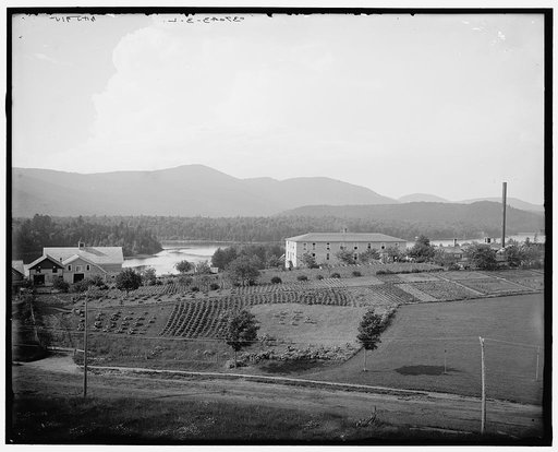 Stevens House, Adirondack Mtns., New York