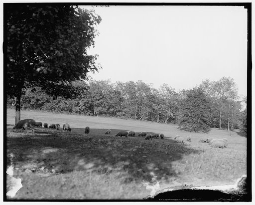 Fairmount Park, Philadelphia, Penn.
