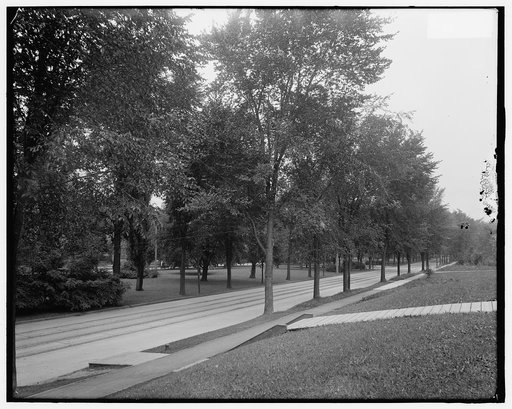 Walnut Avenue, Syracuse, N.Y.