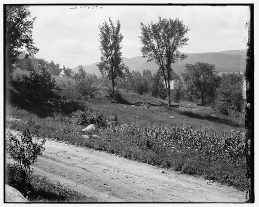 Mount Greylock from Adams, Mass.