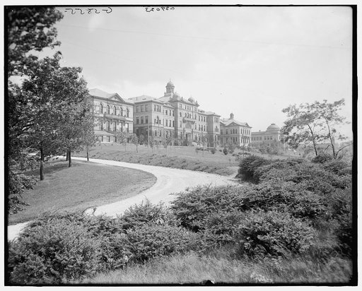 University of Cincinnati, Burnet Woods, Cincinnati, Ohio