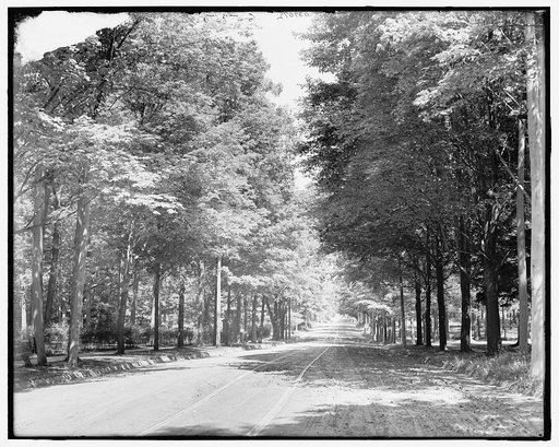 Washtenaw Avenue, Ann Arbor, Mich.