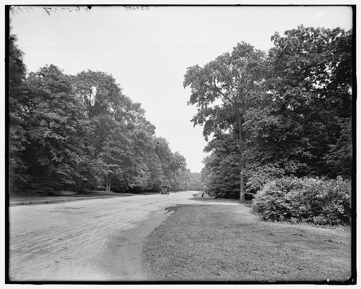 Upper Central Avenue, Belle Isle Park, Detroit, Mich.