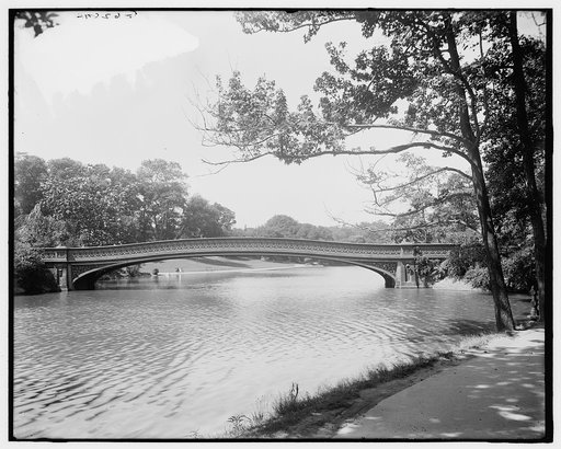 Central Park, the lake, New York, N.Y.