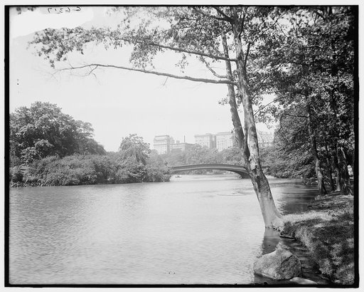 Central Park, the lake, New York, N.Y.