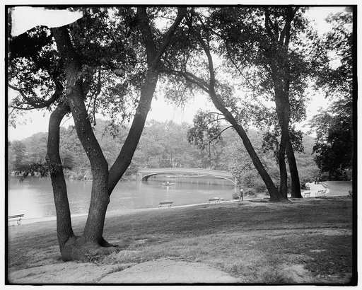 Central Park, the lake, New York, N.Y.