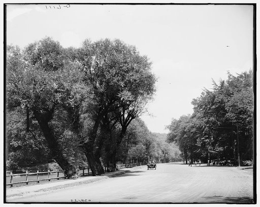 Lincoln Drive, Fairmount Park, Philadelphia, Pa.