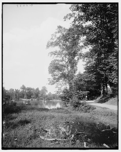 Chamounix Lake, Fairmount Park, Philadelphia, Pa.
