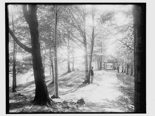 Summit Park, Oriskany, near Utica, N.Y.