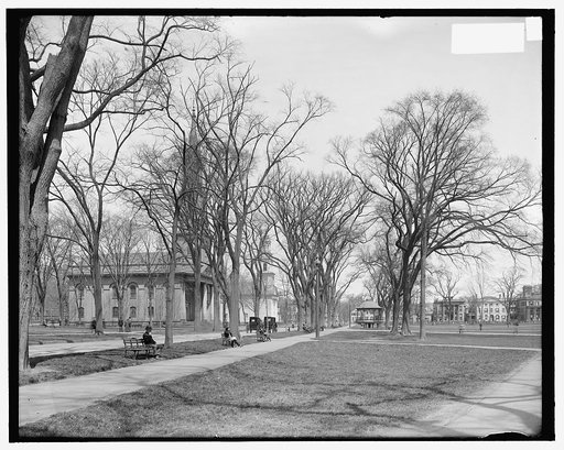 Temple Street and churches on the Green, New Haven, Conn.
