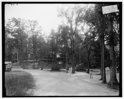 In Long Branch Park, Syracuse, N.Y.