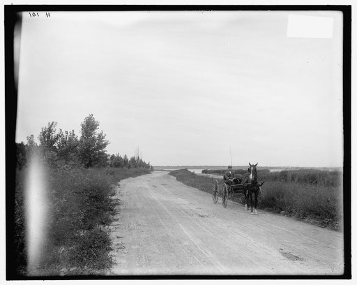 The Boulevard, Syracuse, N.Y.