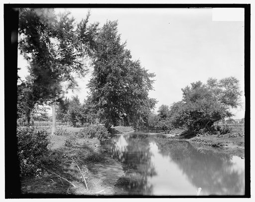 Onondaga Creek, Syracuse, N.Y.