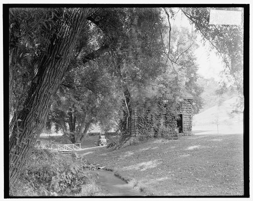 On the Rice farm near Syracuse, N.Y.