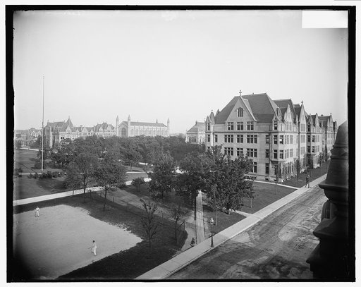 Looking east from Ellis Avenue, University of Chicago, Chicago, Ill.