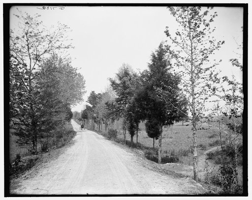 Alexander Bridge Road, Chickamauga, Ga.