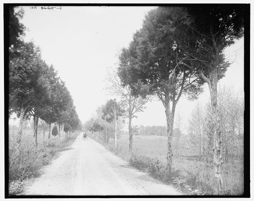 Alexander Bridge Road, Chickamauga, Ga.