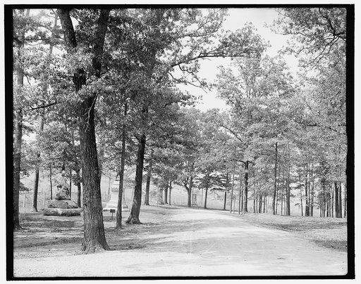 Looking towards Bloody Pond, Chickamauga, Ga.