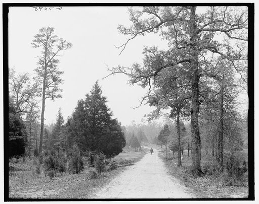 The Boulevard, Jay's Mill, Chickamauga, Ga.