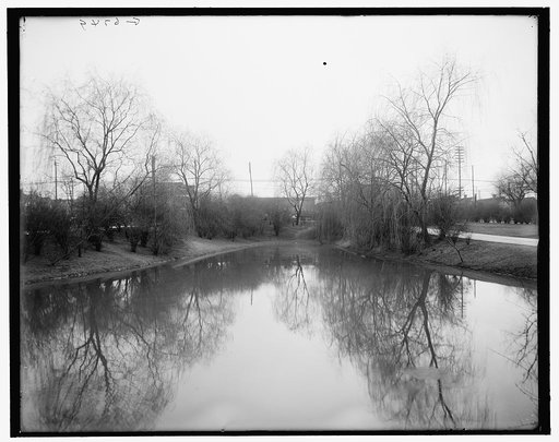 Evening on the lake, Forrest Park, Memphis, Tenn.