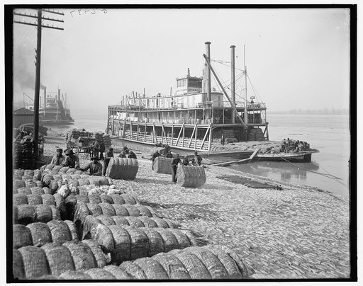 Unloading cotton, Memphis, Tenn.