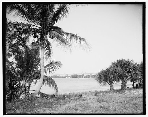 Lake Worth and Royal Poinciana, Palm Beach, Fla.