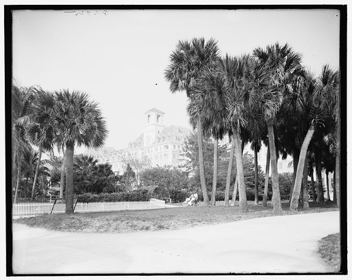 A Glimpse of the Royal Poinciana, Palm Beach, Fla.