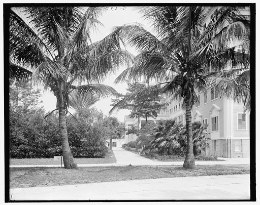 Hotel Royal Poinciana, west facade, Palm Beach, Fla.