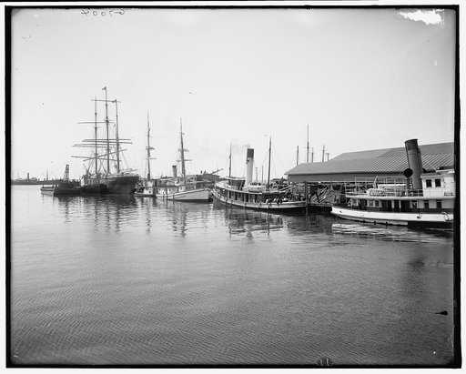 Along the fish dock, Pensacola, Fla.