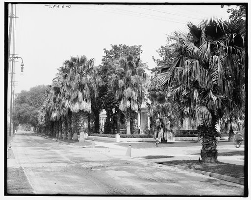 Saint Charles Avenue, New Orleans, La.
