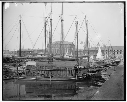 Oyster and charcoal luggers in the old basin, New Orleans, La.