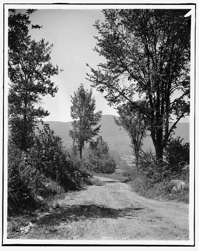 The Road to Mount Greylock, Adams, Mass.
