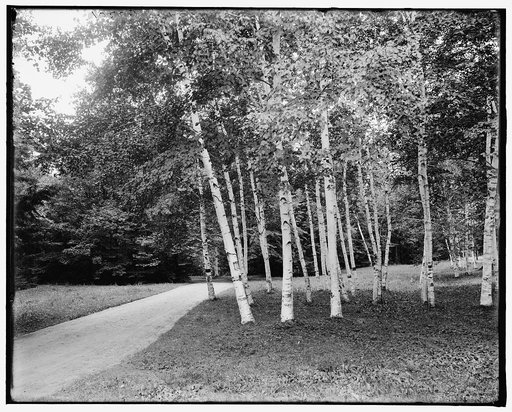 Drive through Stonover, Lenox, Mass.