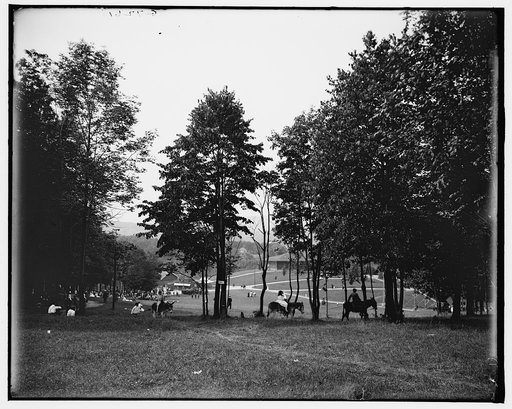 Berkshire Park, Pittsfield, Mass.